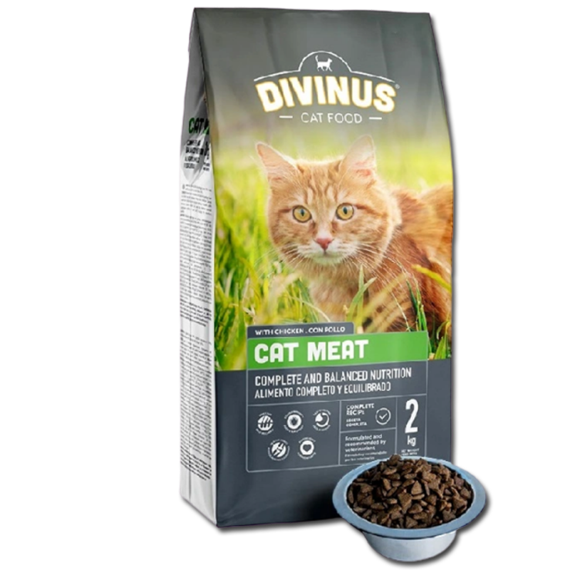 af1eb6f251f88f0eb6a7c13f81409acc