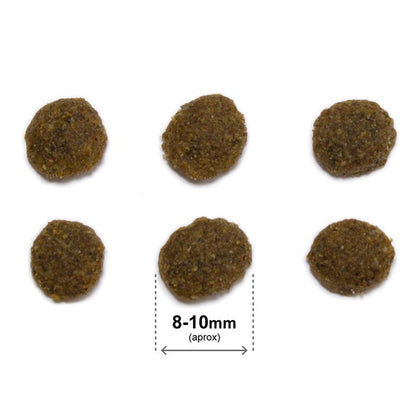 a80f9e78c2bf3bd0acadcdaf2bf5b07b